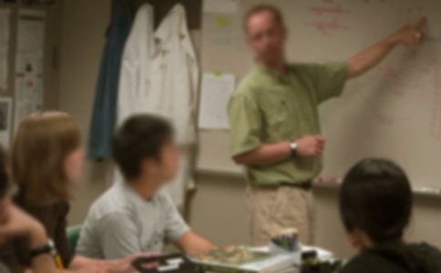 小學(xué)老師年度個(gè)人工作總結(jié)