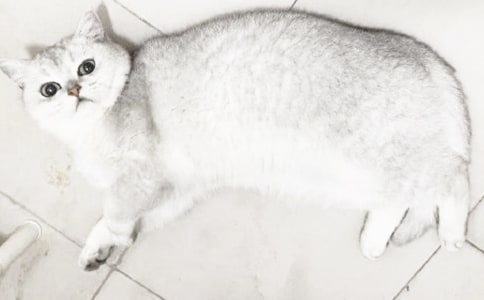 �ɐ۵�С؈��(y��u)������ͨ��15ƪ