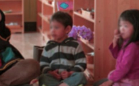 【精選】幼兒園園長(zhǎng)年終工作總結(jié)